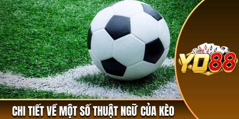 Chi tiết về một số thuật ngữ của kèo 