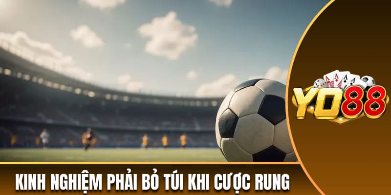 Kinh nghiệm là điều phải bỏ túi khi chơi cược rung