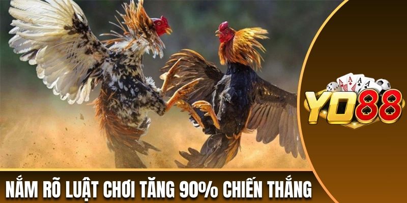 Nắm rõ luật chơi đá gà tăng 90% chiến thắng