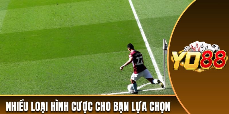 Nhiều loại hình cược cho bạn lựa chọn để chơi