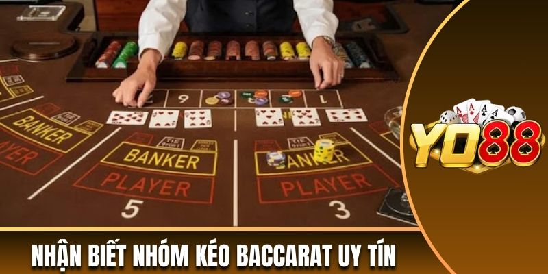 Nhóm kéo Baccarat